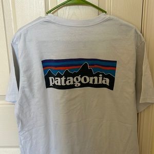 Men’s Patagonia Responsibili-tee